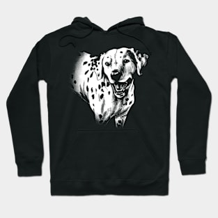 Dalmatian Dog Portrait Hoodie